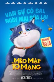 Mèo Mập Mang 10 Mạng